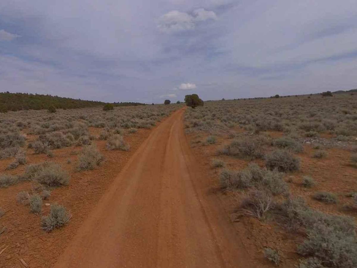 Dixie National Forest-FR31006 photo 4
