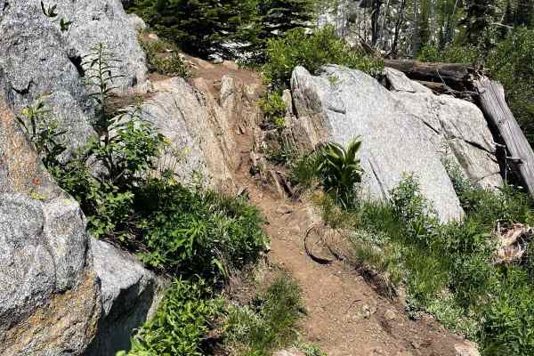 Hard Creek Basin