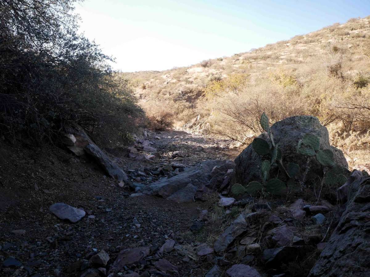 31082 ATV photo 5