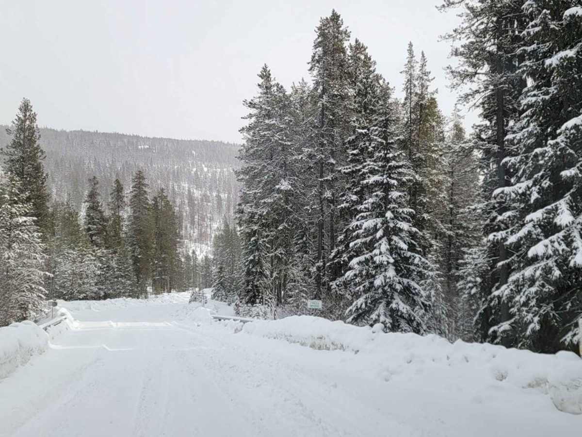 Cranbrook To Koocanusa photo 5