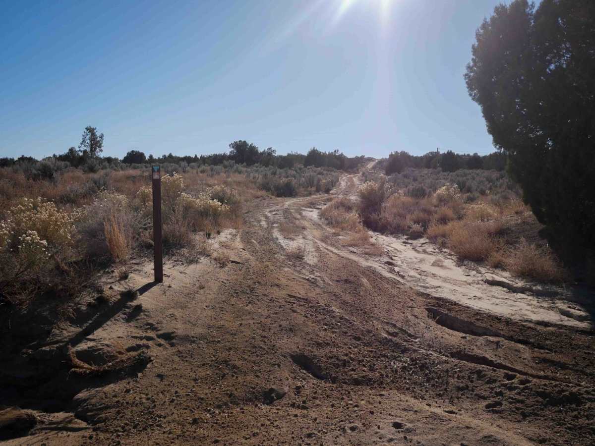 Gasline ATV photo 3