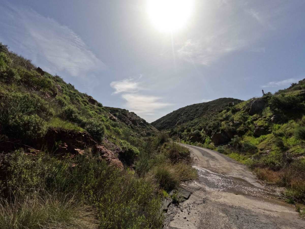 Otay Mountain Truck Trail (Lower Trail) photo 4
