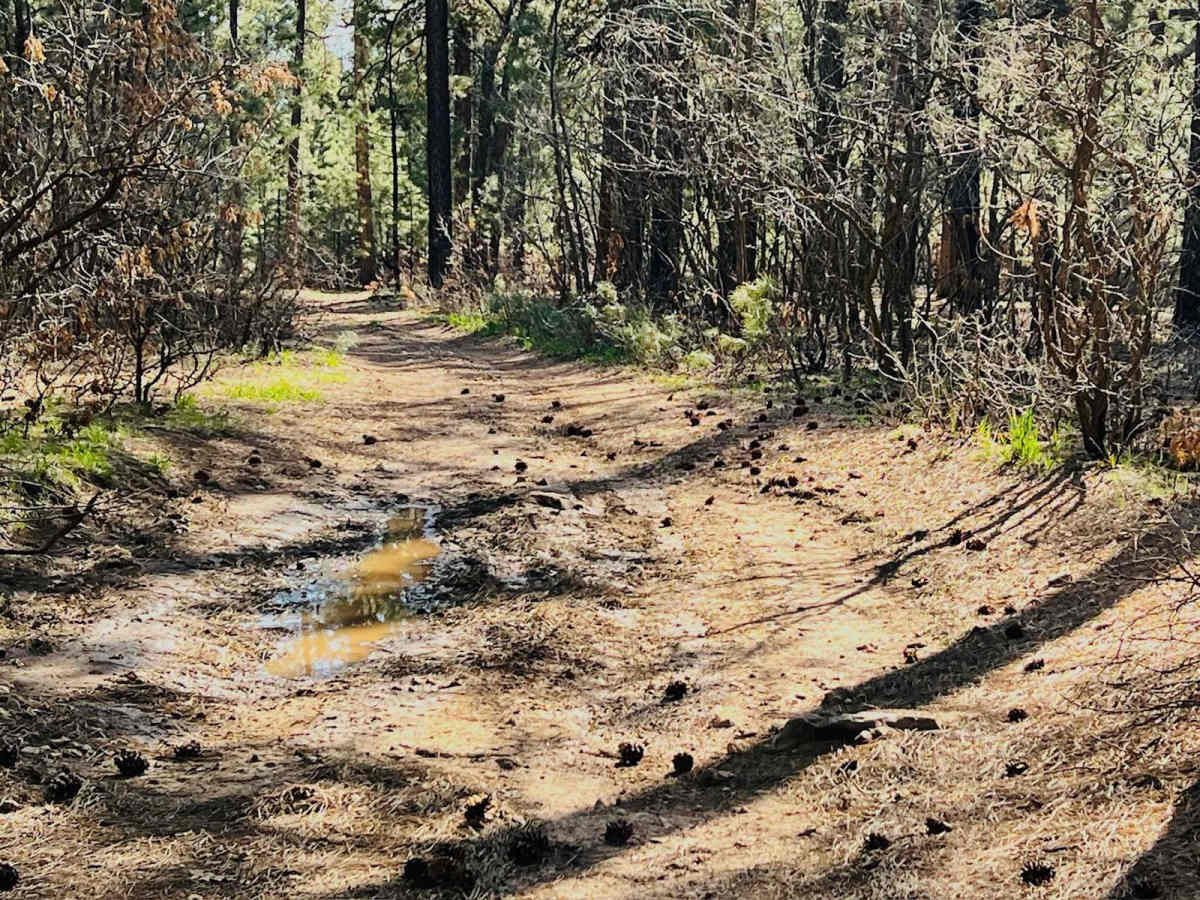 Corduroy Wash Trail photo 5