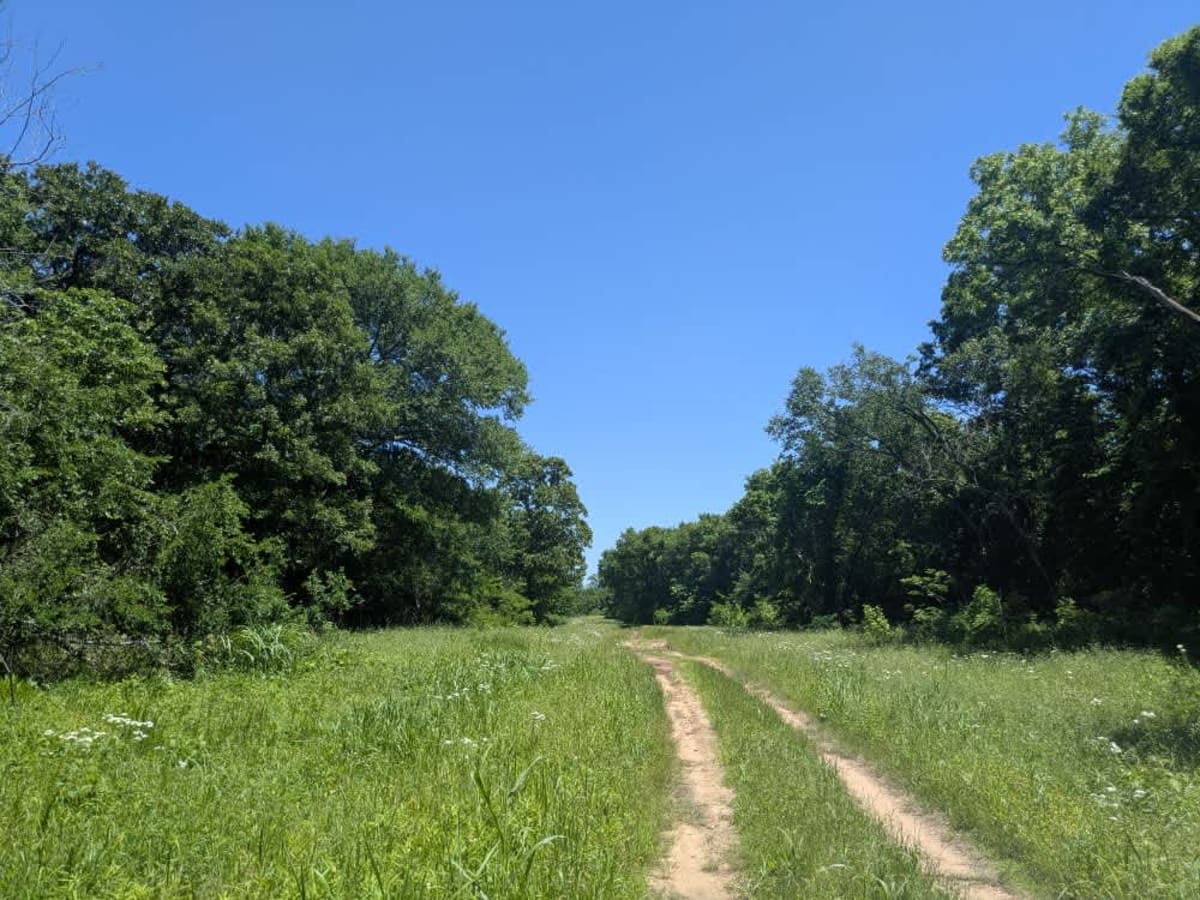 Hay Field photo 5
