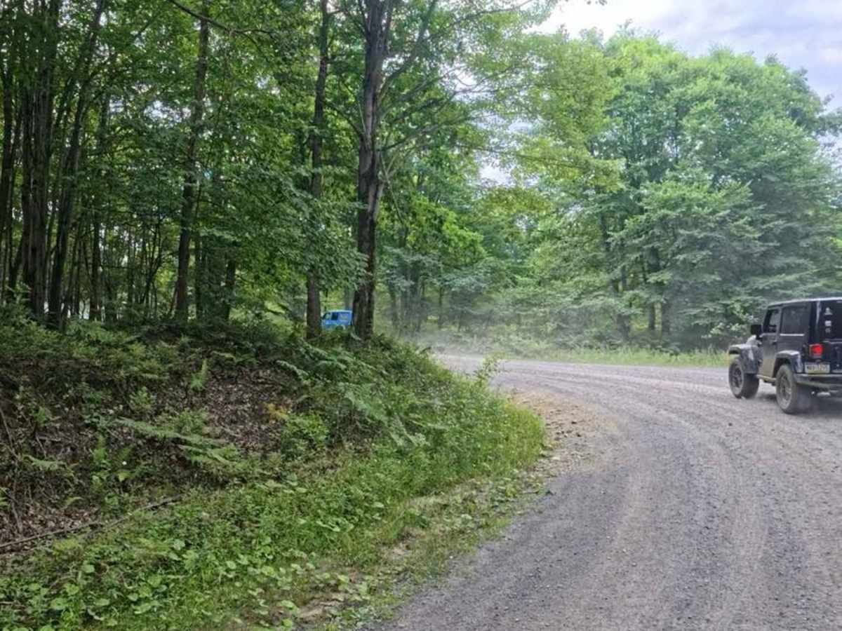 Huckleberry Road photo 3
