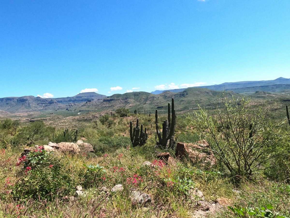 San Jose Comundu to La Purisima trail photo