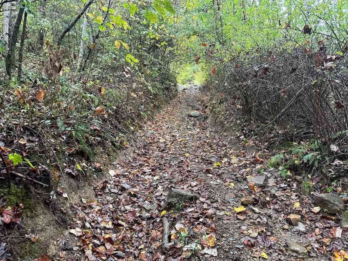 67 Black trail photo