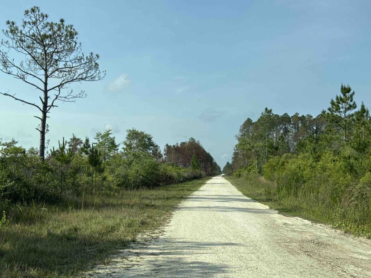 Burnt Bridge Road trail photo