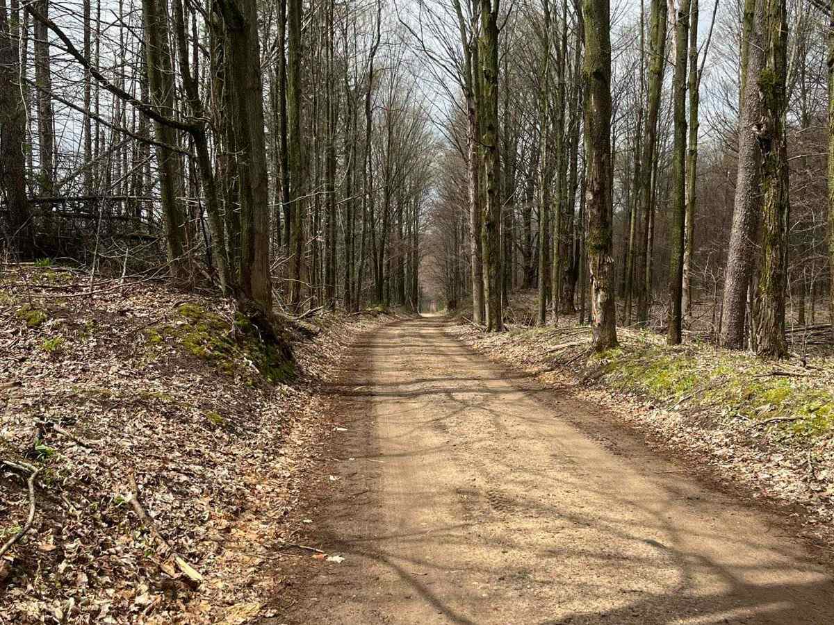 County Line Road photo 6