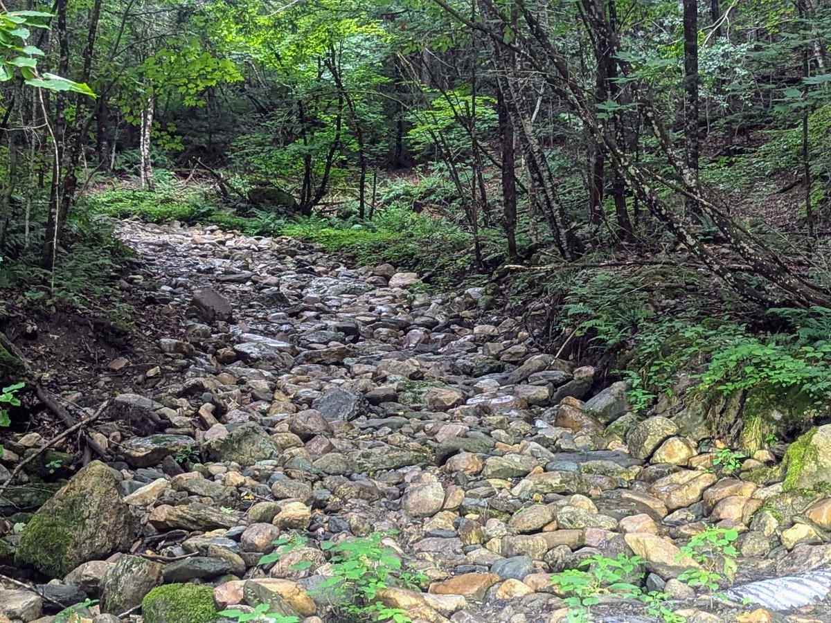 Torrey Mountain Road photo 6