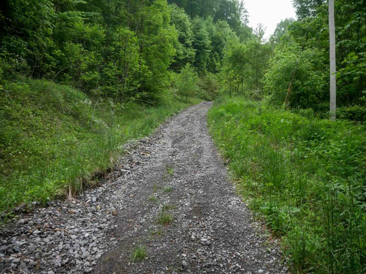 J31 trail photo