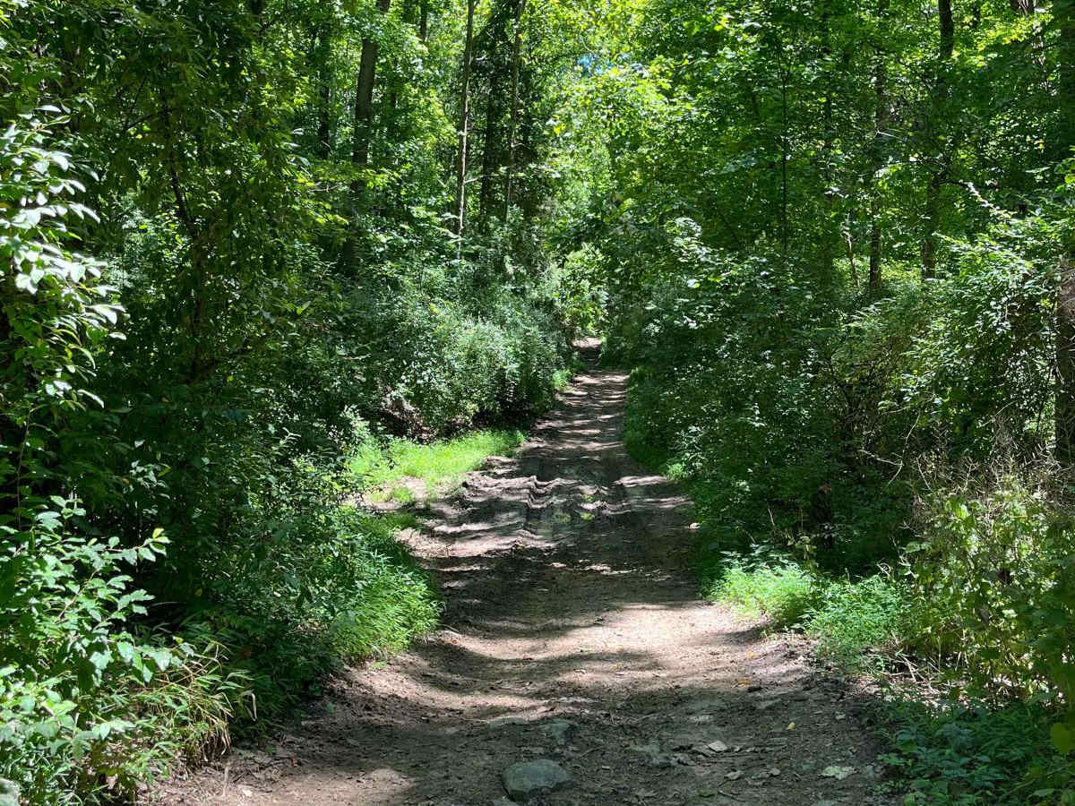Old Boundary Trail photo 3