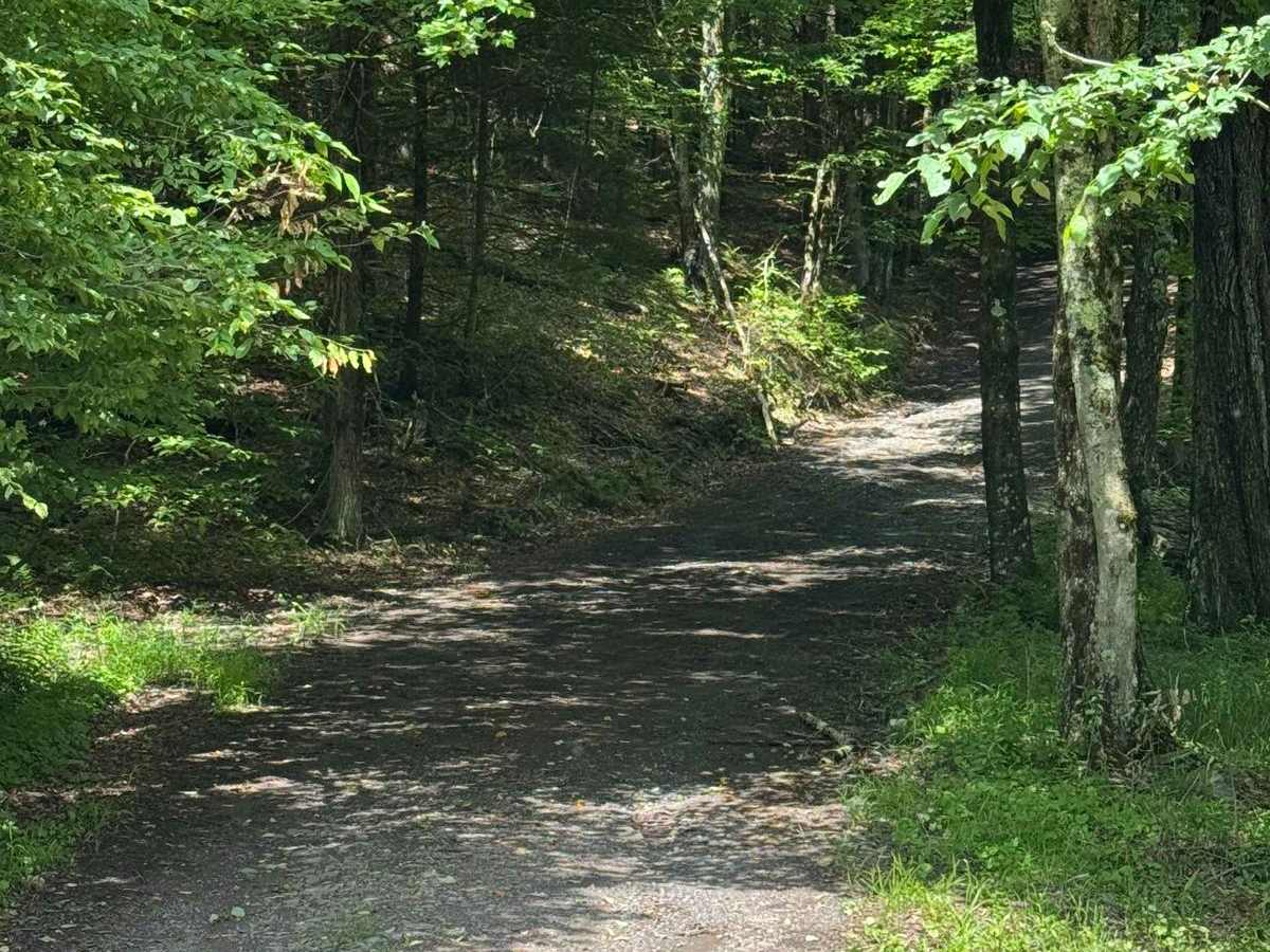 Blum Road photo 2