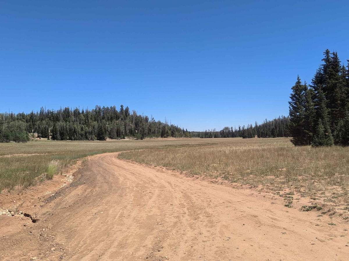 Deer Valley Loop trail photo
