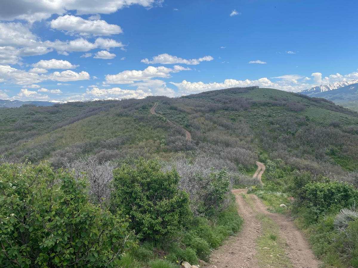 Light Hill Road photo 5