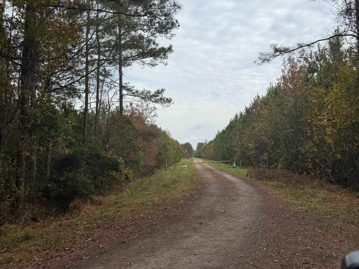Crooked Road trail photo