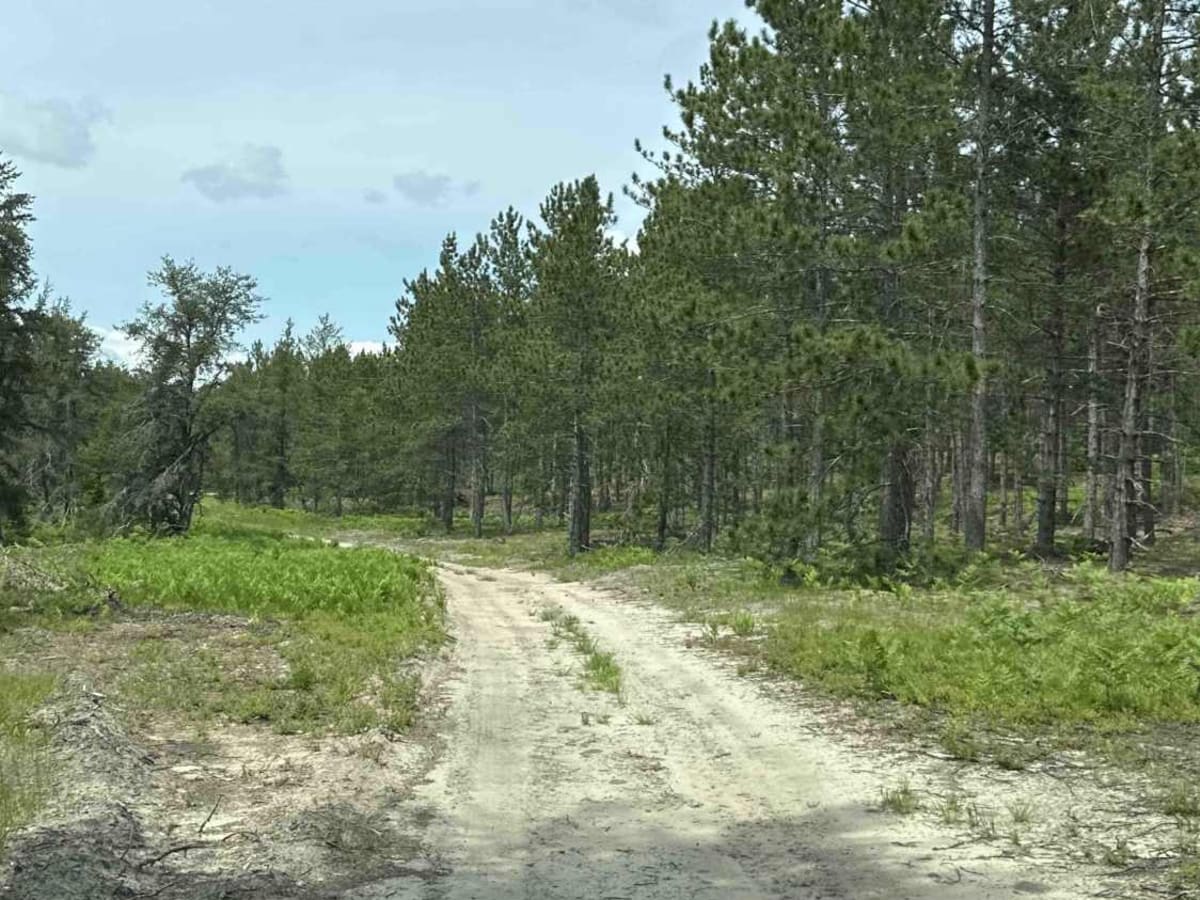 FS 3637 photo 4