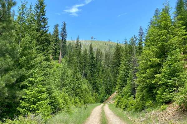 Verde Creek Road-Sunrise Road-Quartz Road