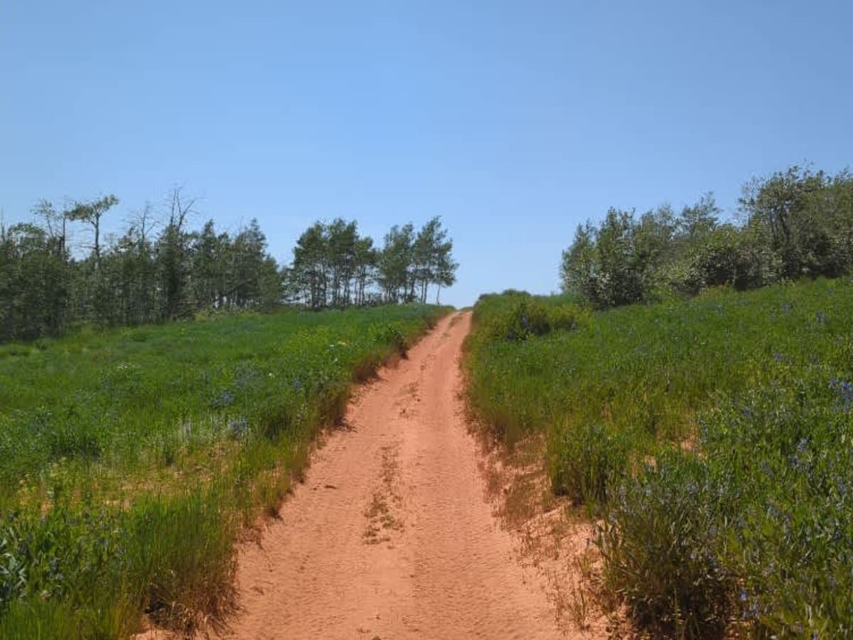 Dry Bread Hollow ATV Spur - FS 6324A trail photo