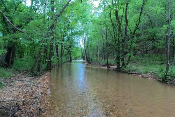 Hackworth Hollow Trail