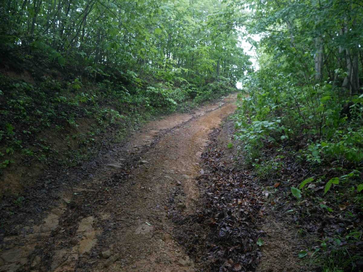 CC69 photo 6