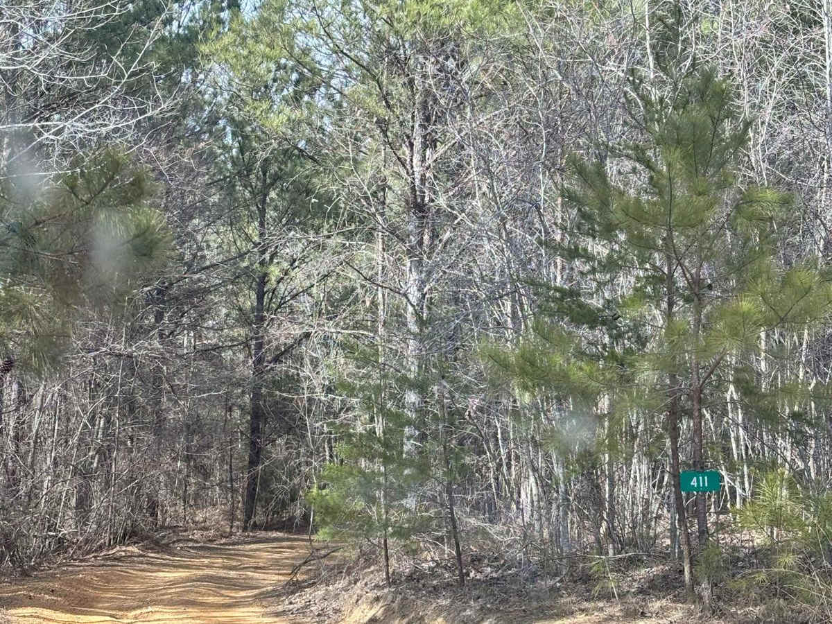 411 trail photo