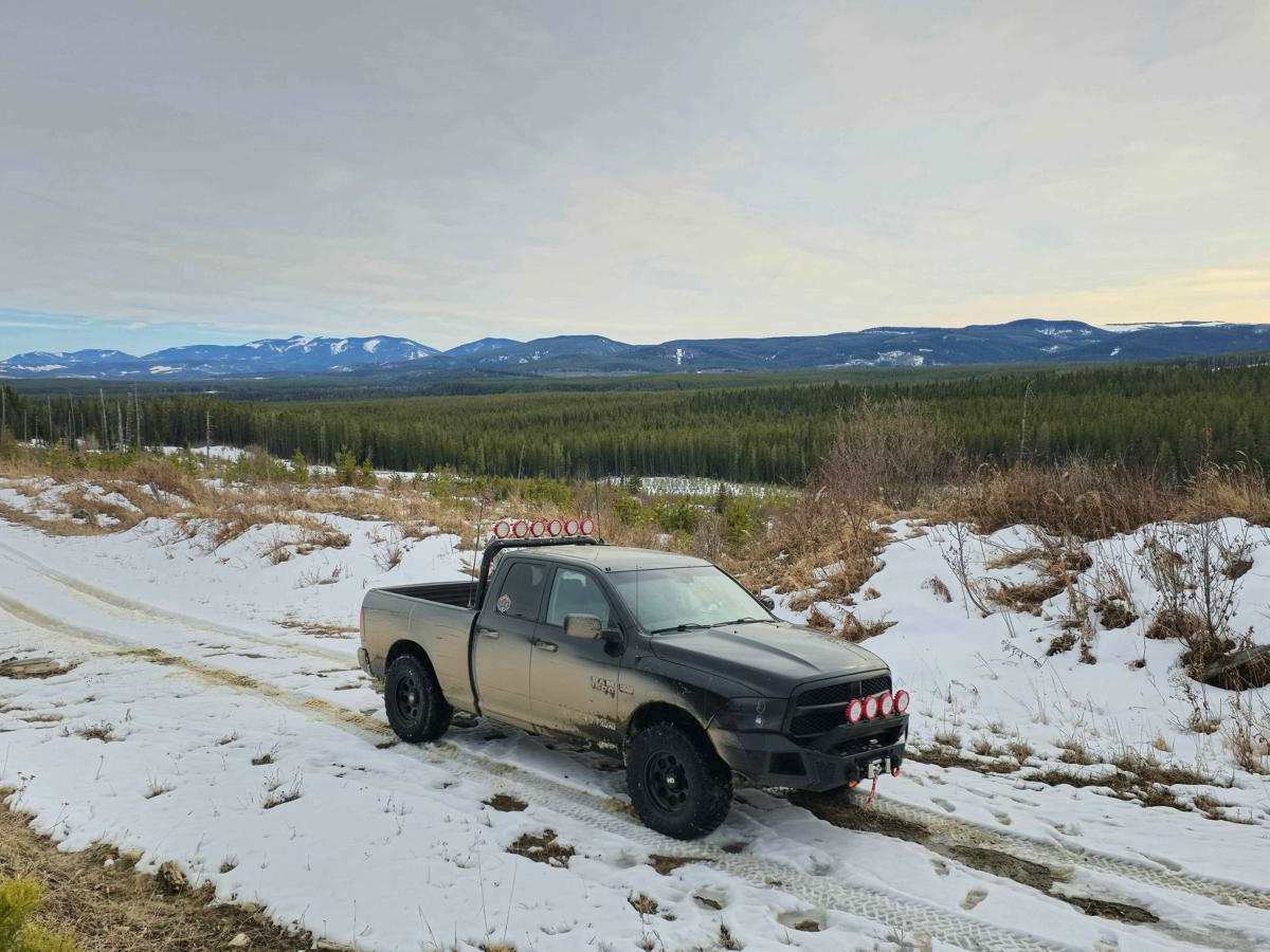 3150 Trail photo 4