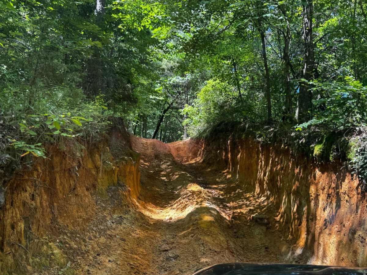 Pine Hill Run photo 4