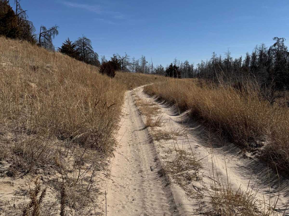 Forest Road 223 - Scenic photo 4