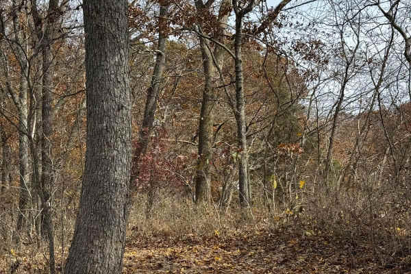 Bounty Hill Access