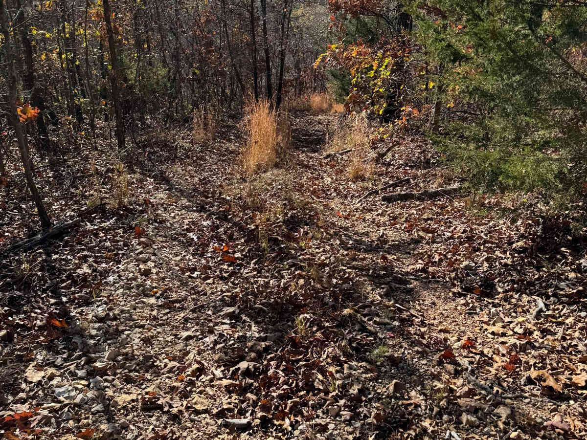 Green 168 photo 4