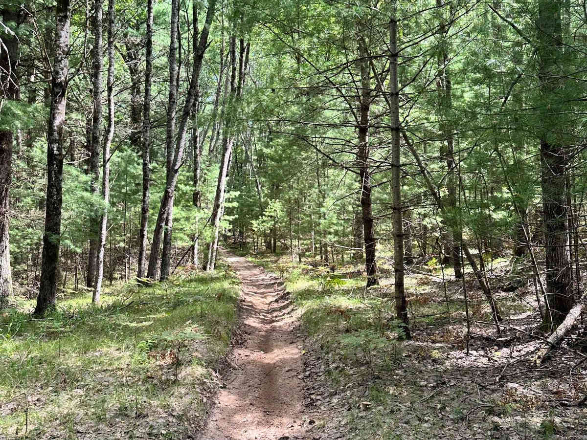 Big O - East Motorcycle Trail photo 2