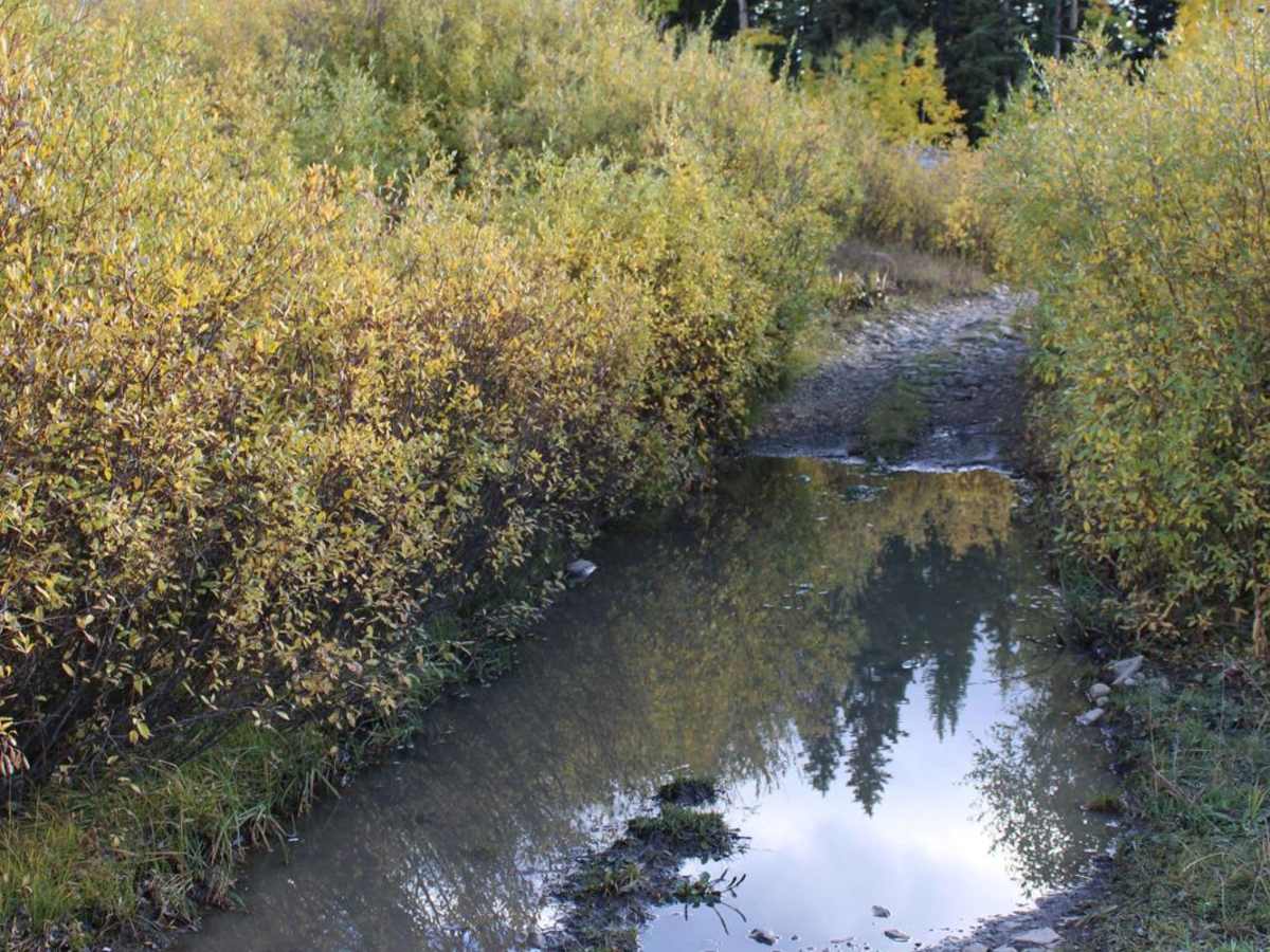 Beaver Creek Loop photo 5