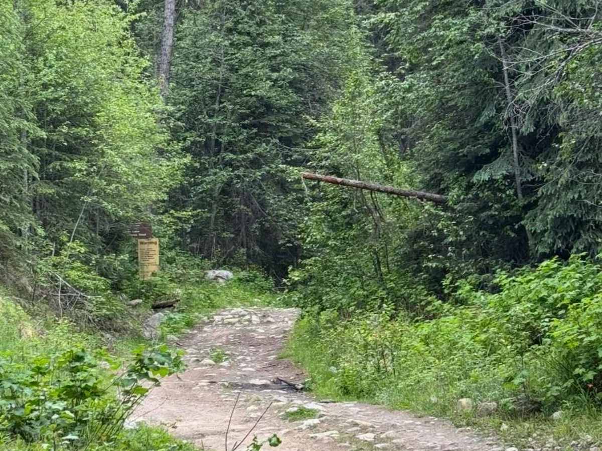 Elinor Lake Trail trail photo