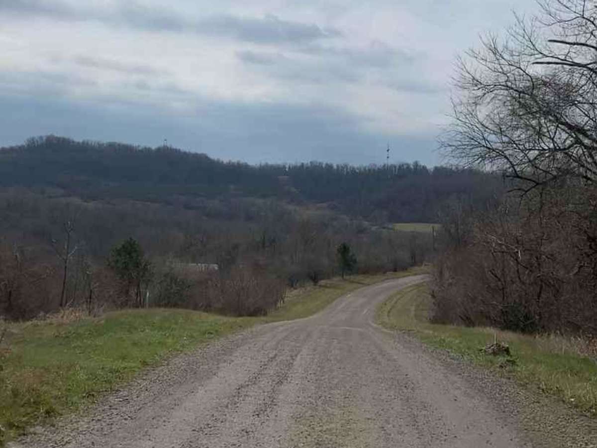 Life Wide Open - Scenic Trail photo 2