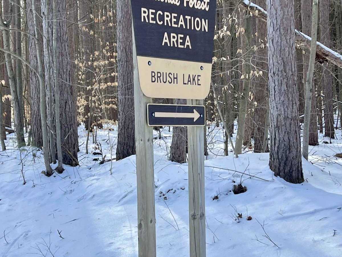 NFS 5534 (Brush Lake Trail) photo 2