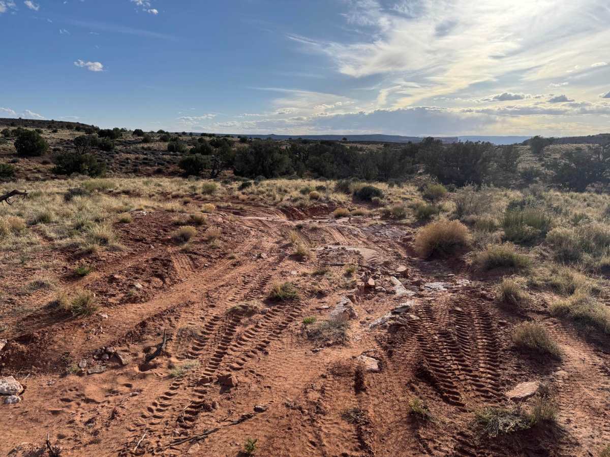D1172 trail photo