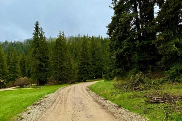 Black Fox Camp Road