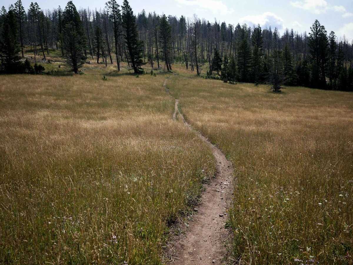 Bangtail Divide Trail #504 photo 6