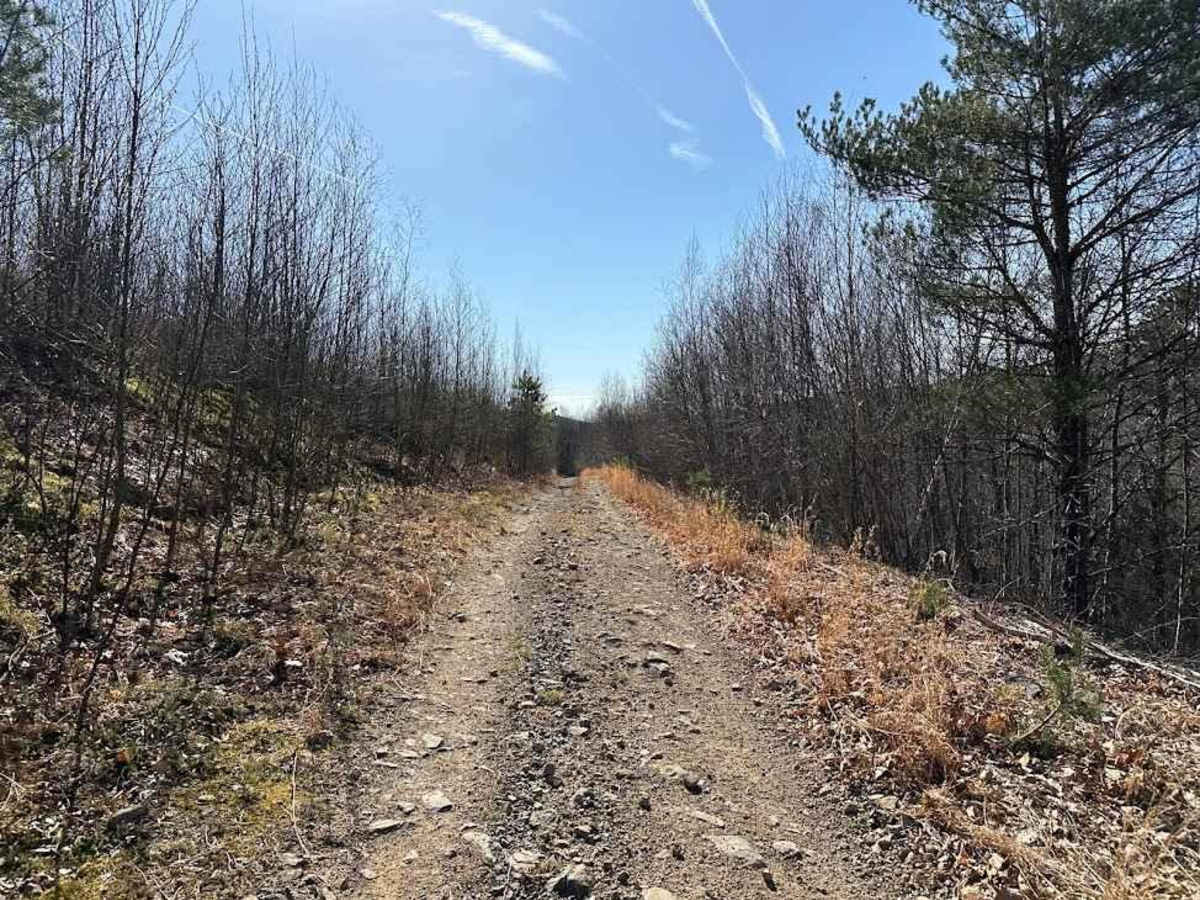 Old Power Plant Road trail photo
