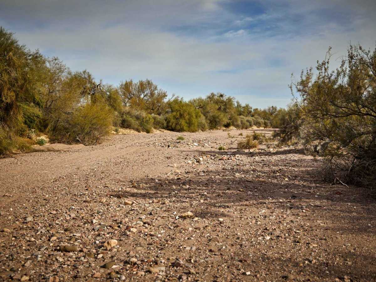 Central Red Raven Wash photo 6