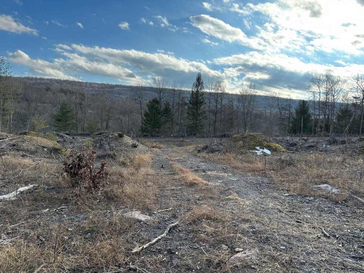 Ashland 188 photo 2