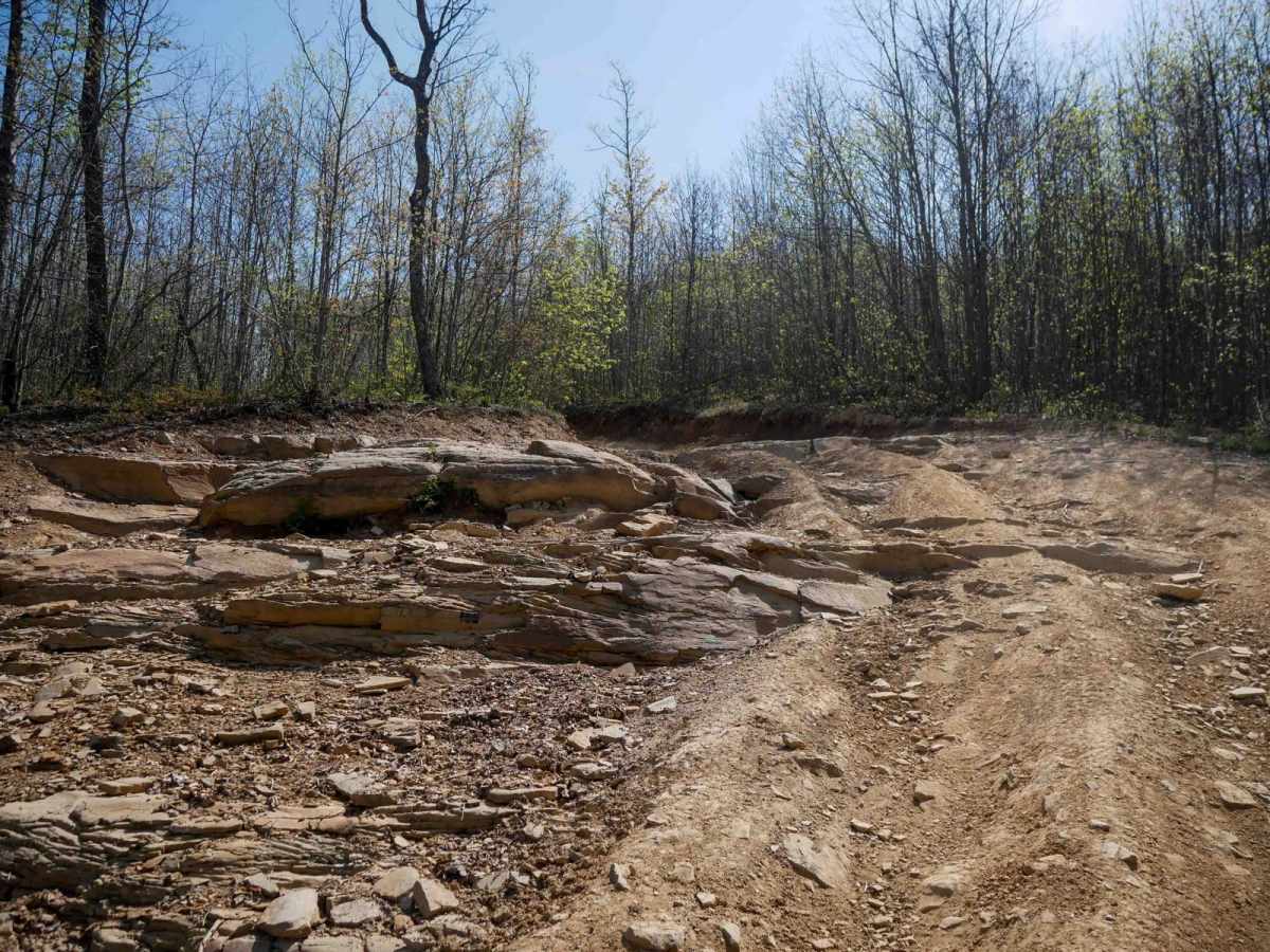 P69 trail photo