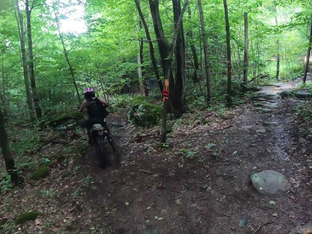 Mountain Ridge ATV Park Singletrack CG photo 2