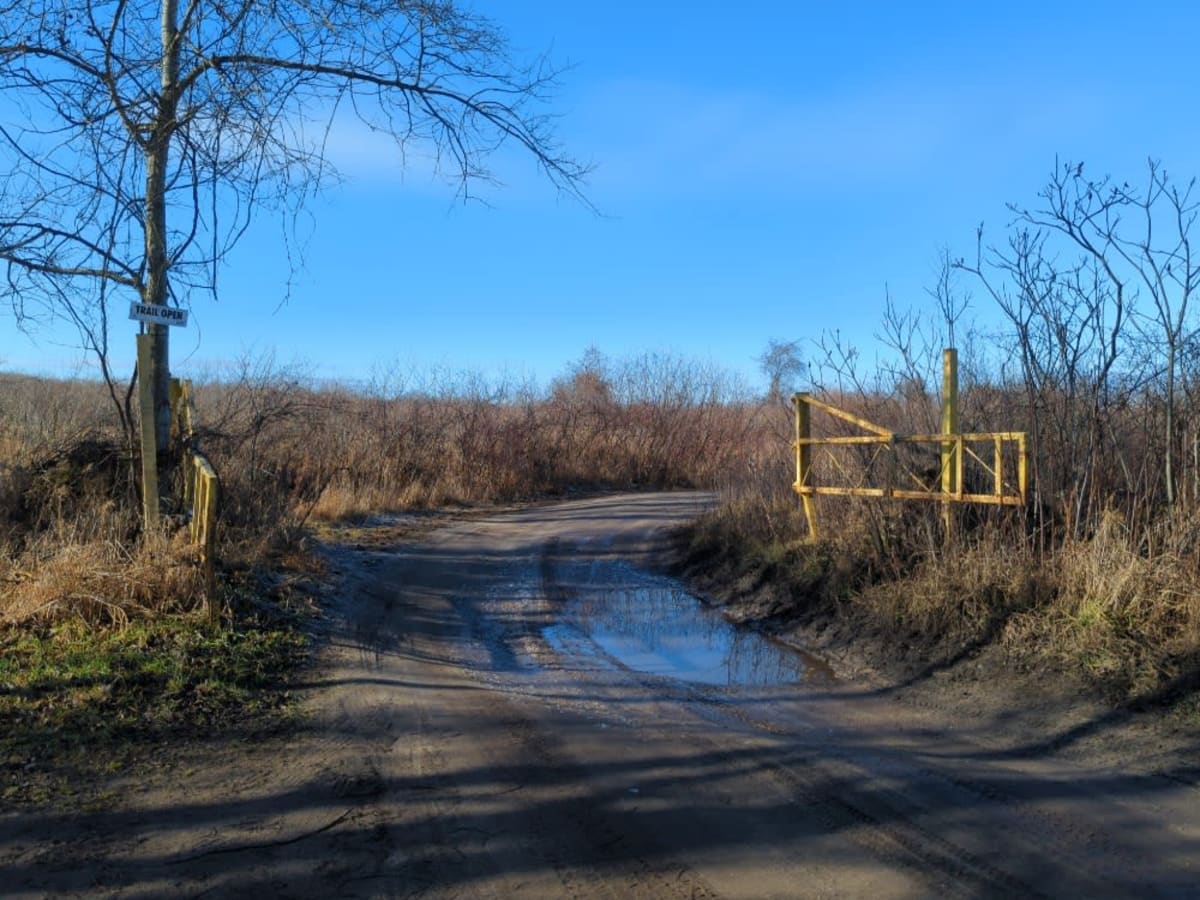 Mosquito Creek photo 3