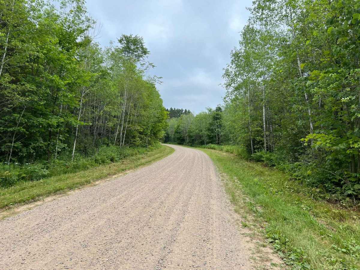 Peshtigo Reserve Road - FS 2695 photo 5