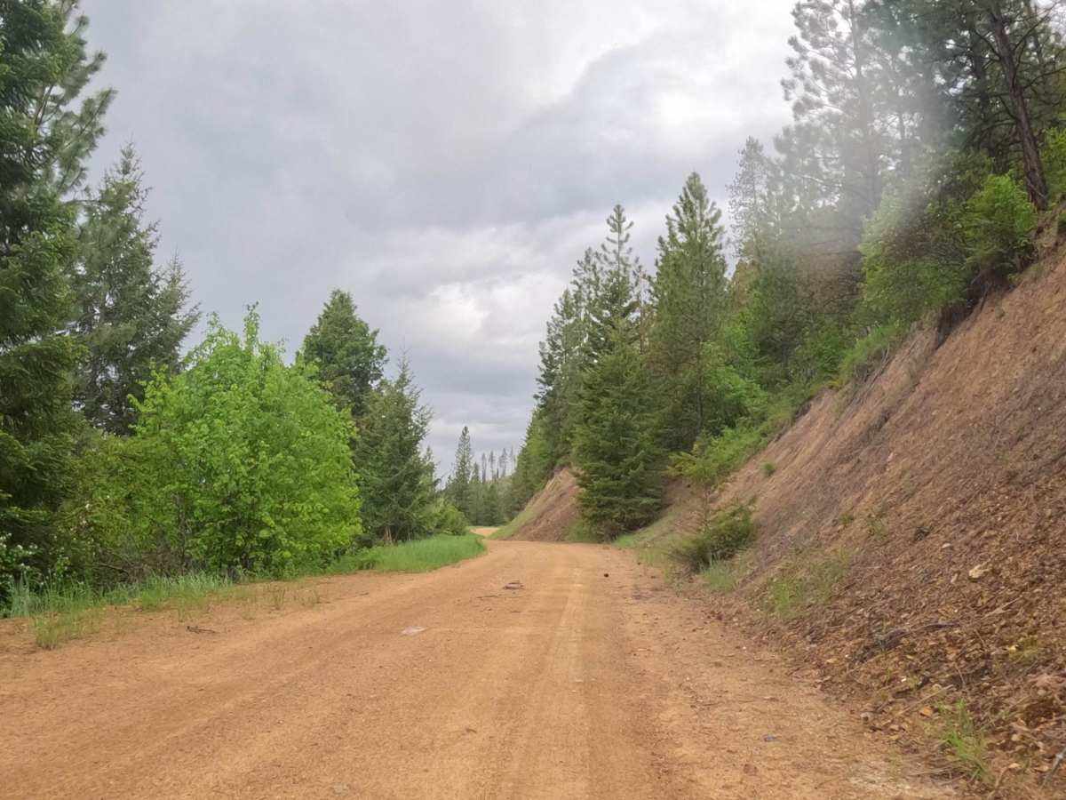 Second Creek Road-First Creek Road photo 5