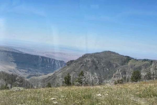 Grouse Creek (FSR 205)