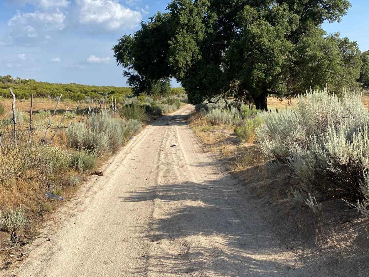 Camino La Laguna Hanson to Highway 3 photo 2