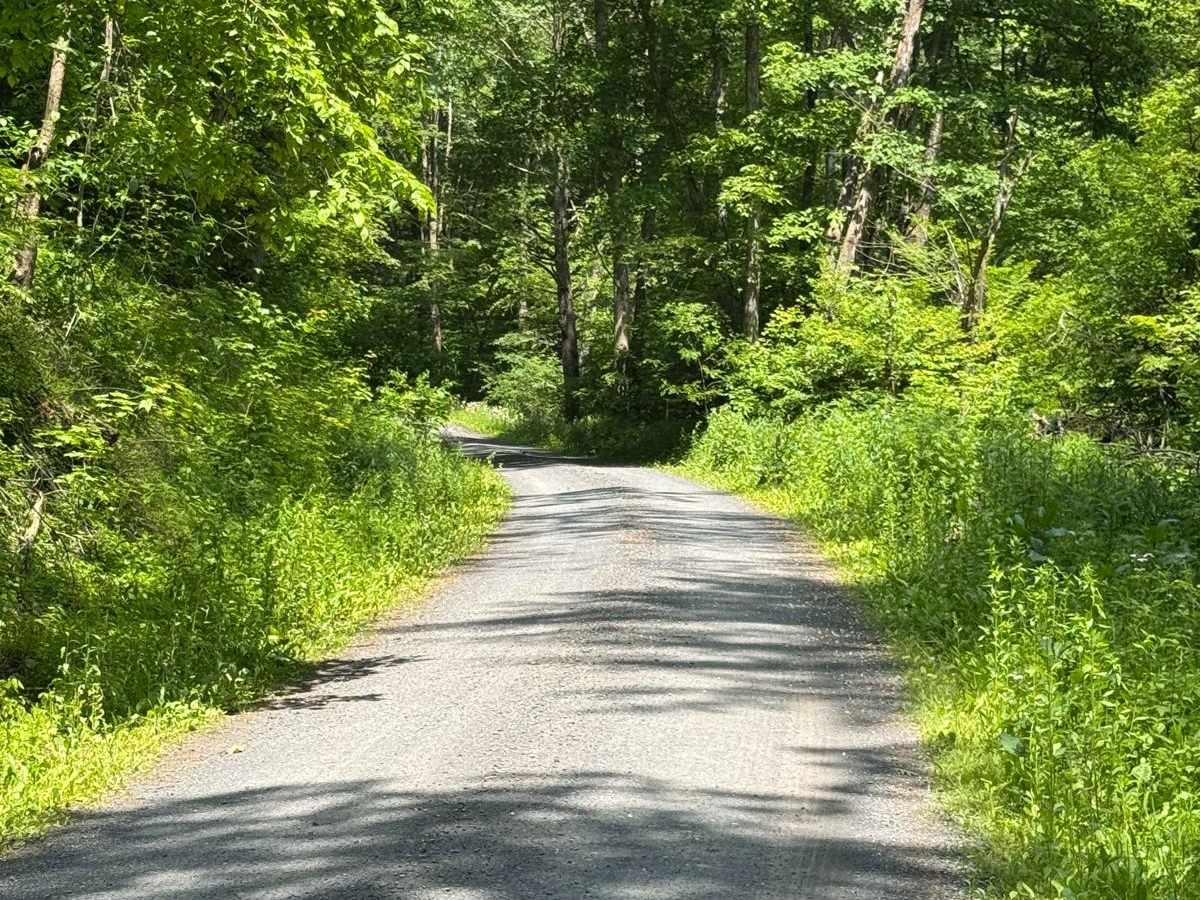 Hyner Run Road photo 2